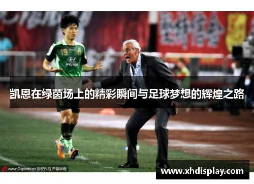 凯恩在绿茵场上的精彩瞬间与足球梦想的辉煌之路