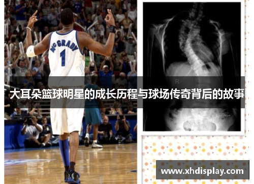 大耳朵篮球明星的成长历程与球场传奇背后的故事